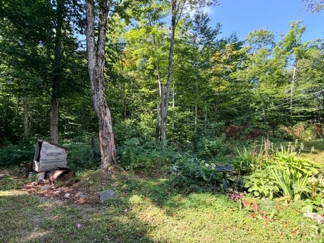 Photo 11 of 2895 Base Line Road, Hilton — HOMEH