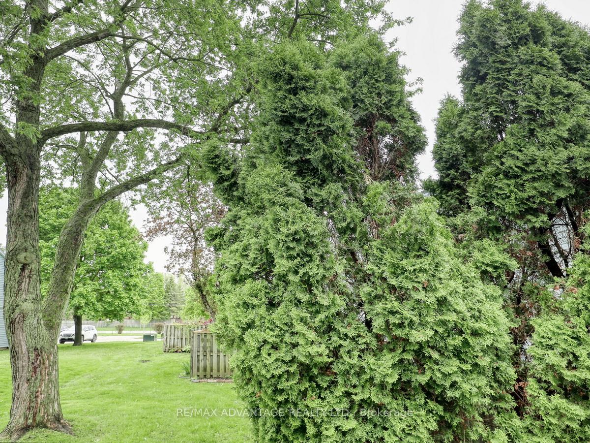 Photo 46 of 132 Monmore Road, London, North F — HOMEH
