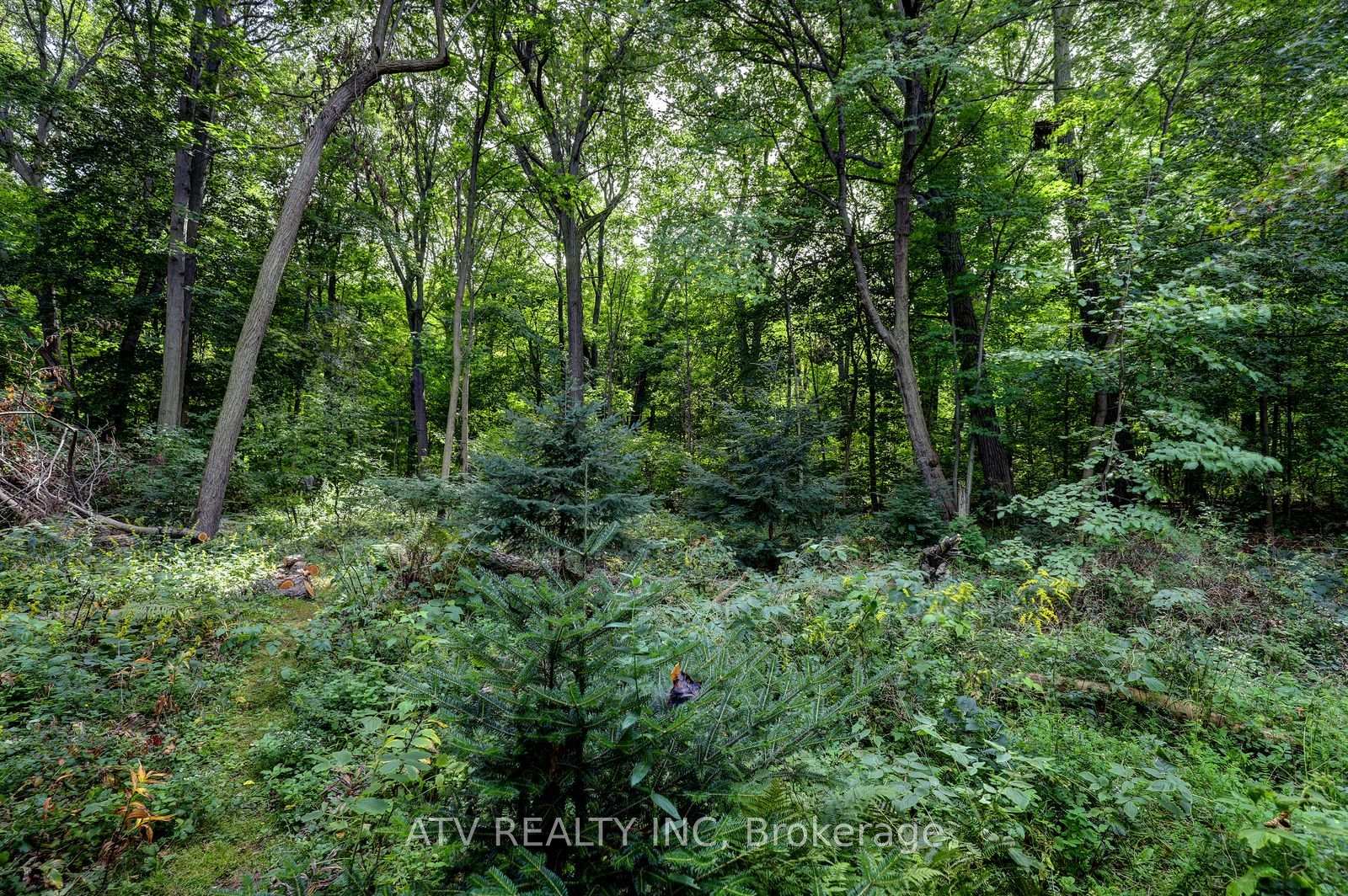 Photo 39 of 235 Saint Marks Road, Toronto, Lambton Baby Point — HOMEH