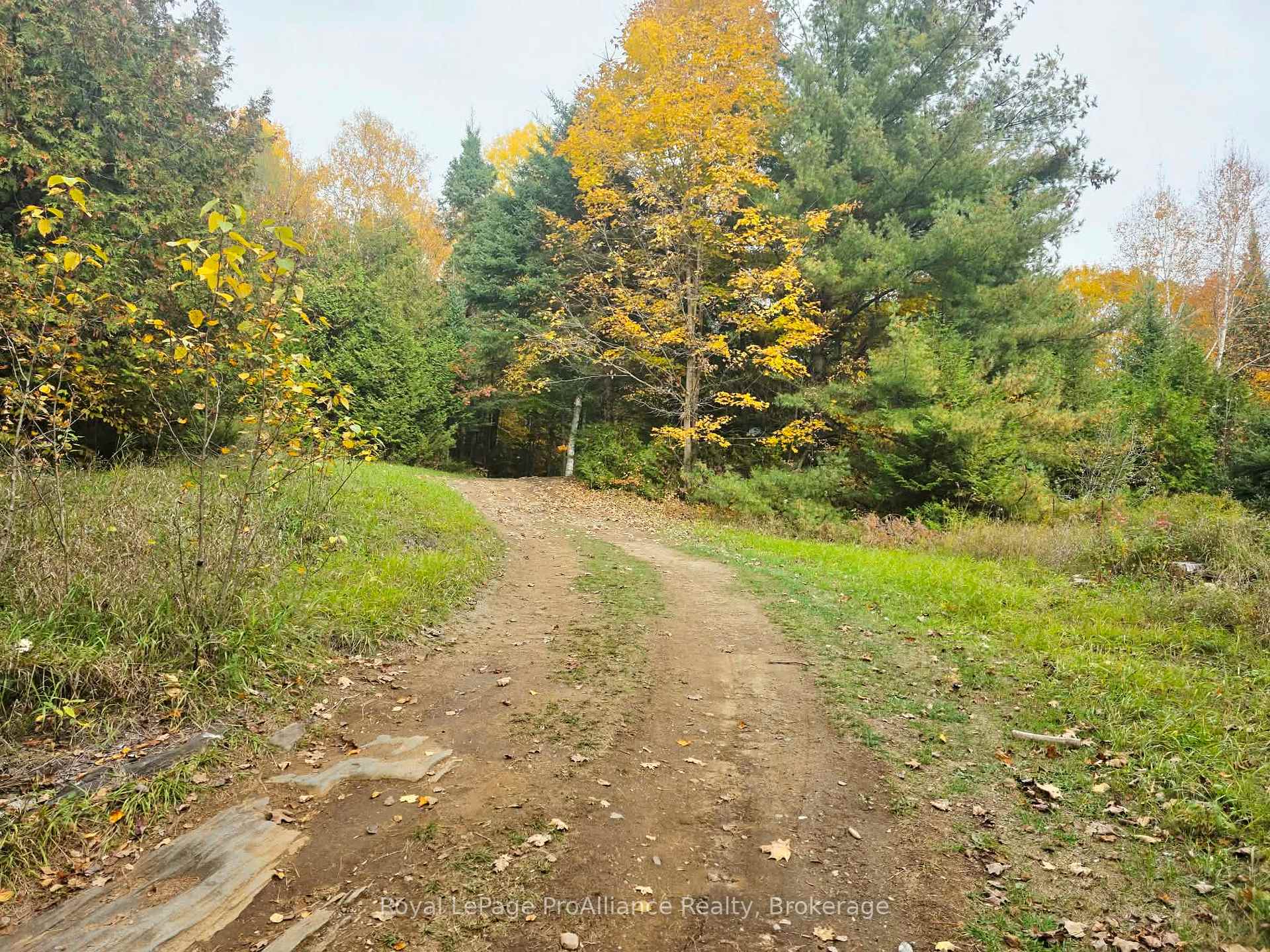 Photo 7 of 1883 South Road, North Frontenac, Frontenac North — HOMEH