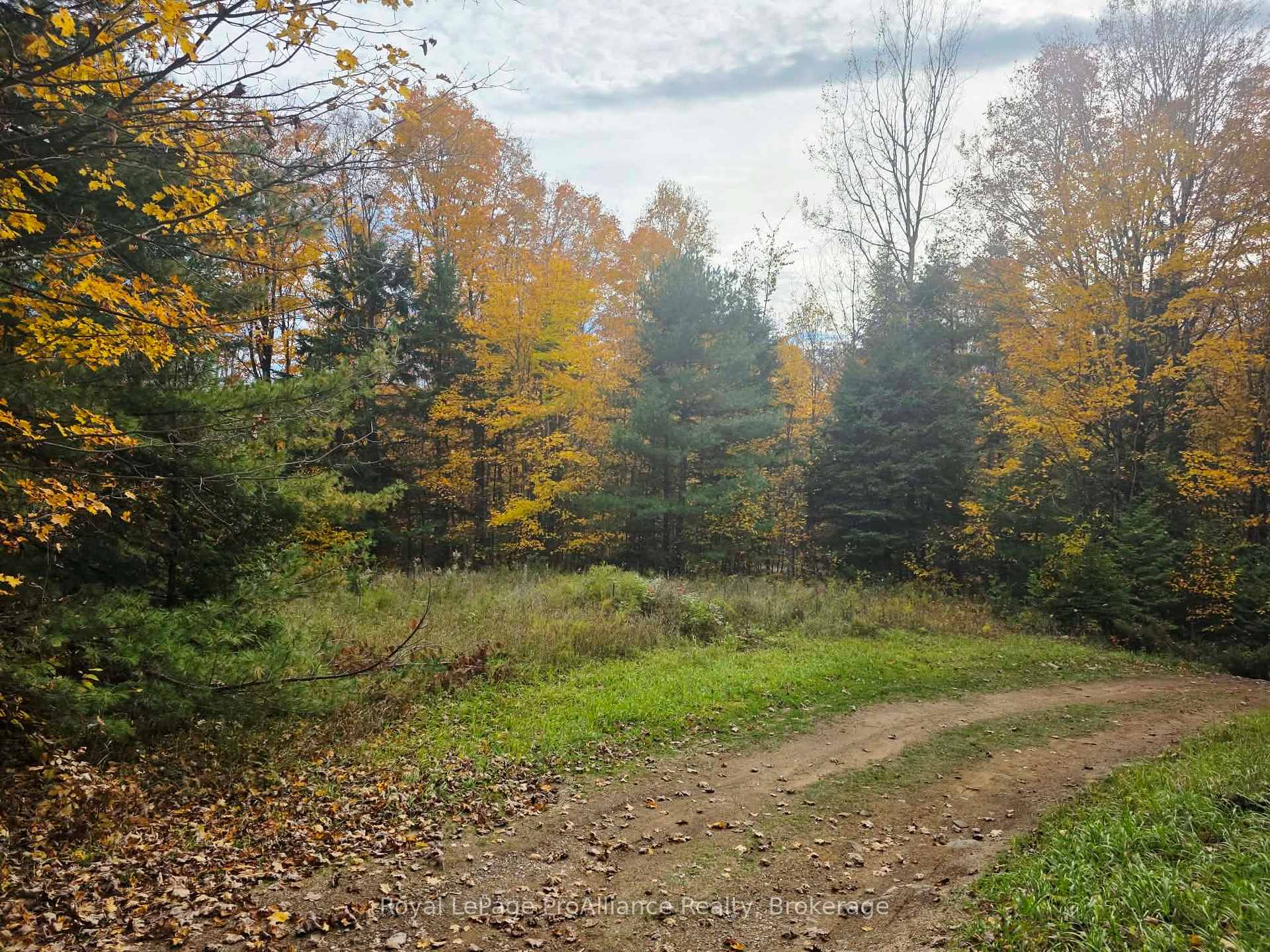 Photo 8 of 1883 South Road, North Frontenac, Frontenac North — HOMEH