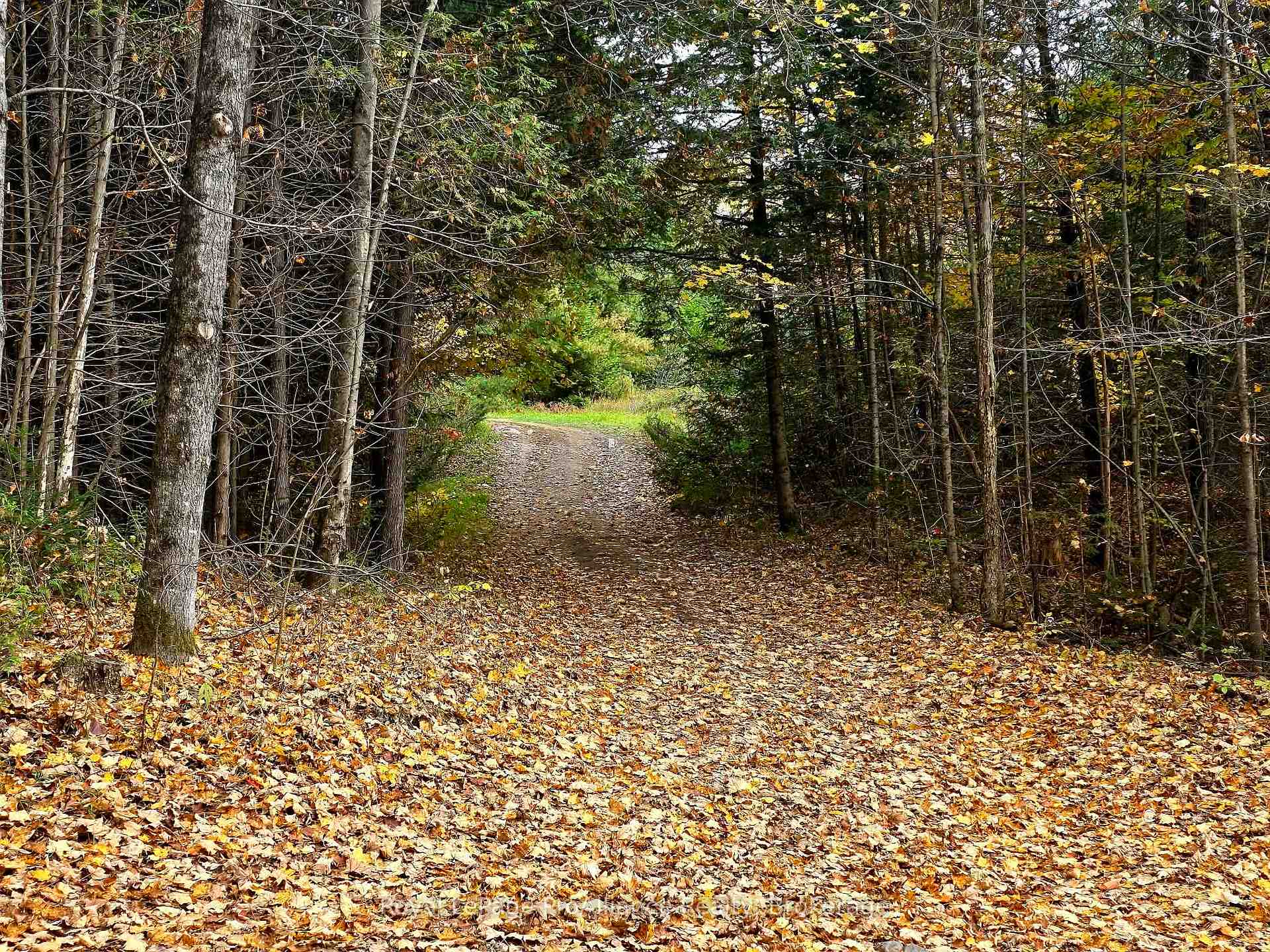 Photo 9 of 1883 South Road, North Frontenac, Frontenac North — HOMEH