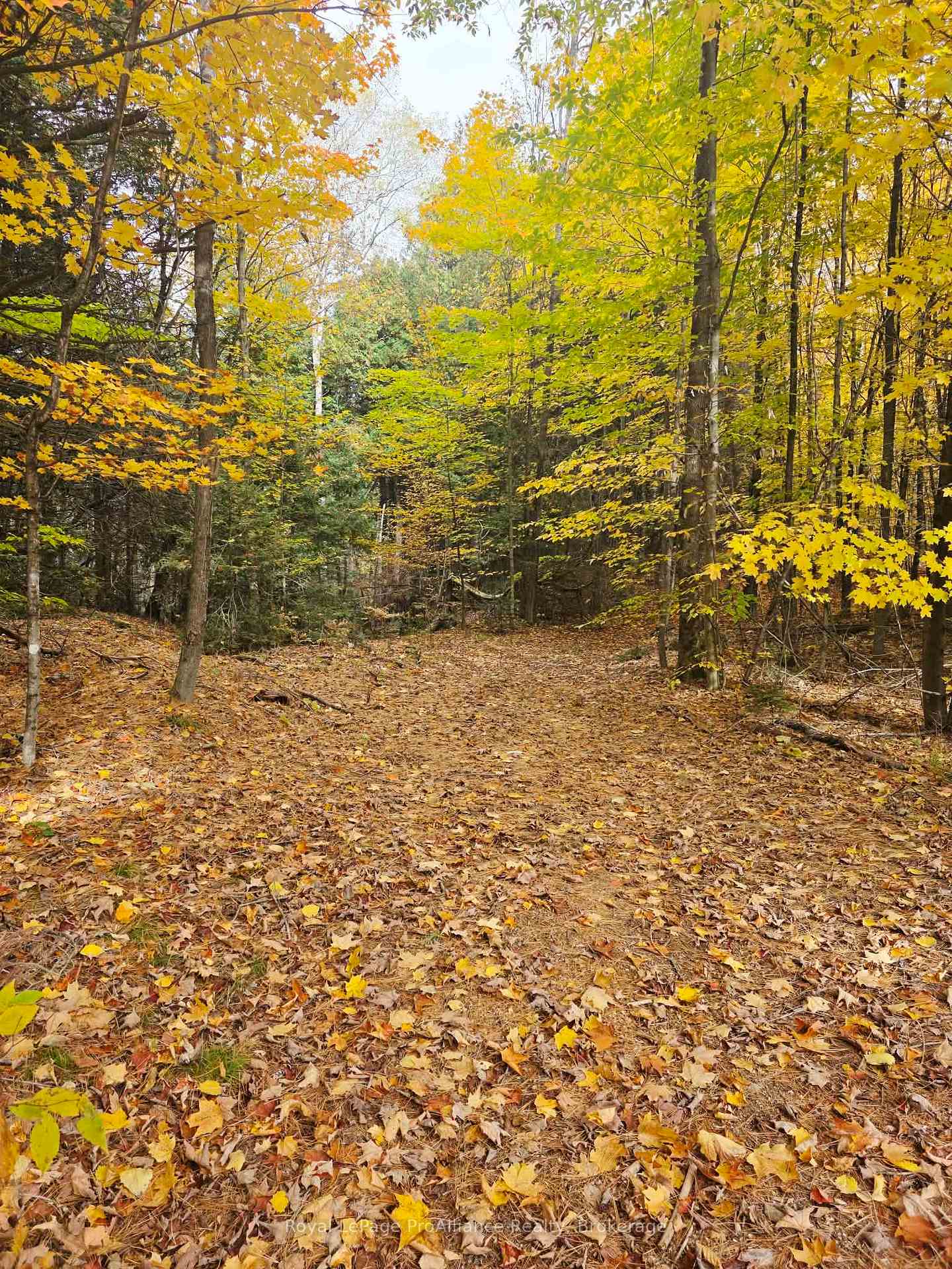 Photo 11 of 1883 South Road, North Frontenac, Frontenac North — HOMEH