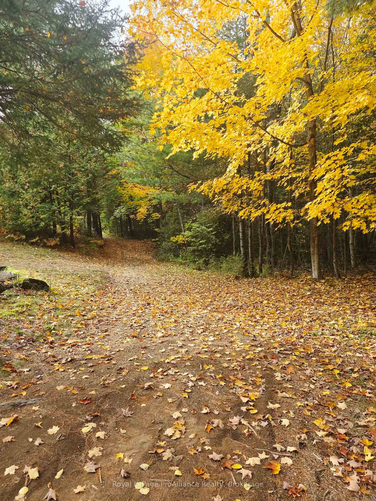 Photo 12 of 1883 South Road, North Frontenac, Frontenac North — HOMEH