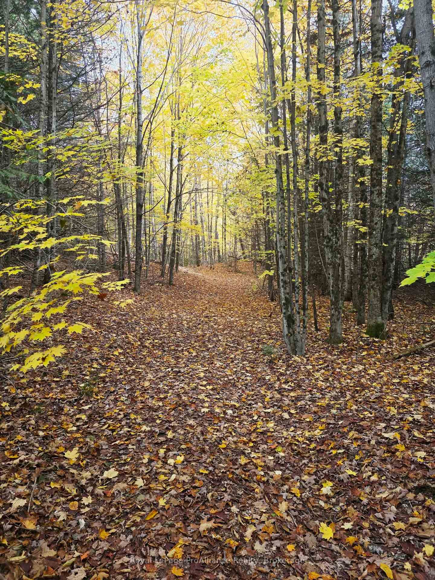 Photo 13 of 1883 South Road, North Frontenac, Frontenac North — HOMEH