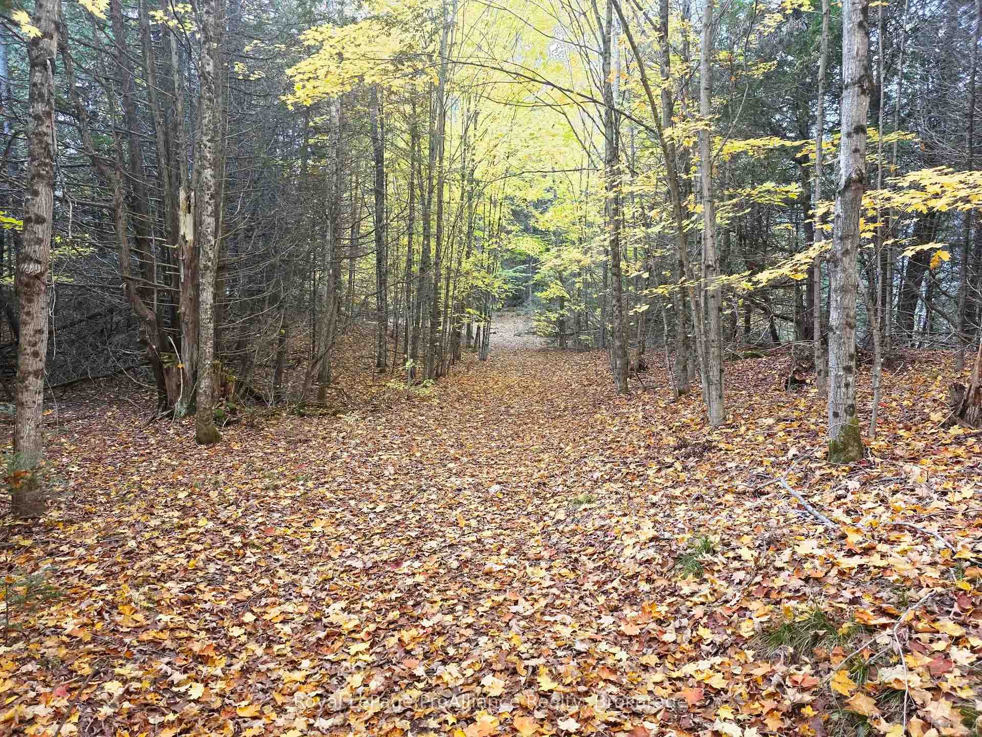 Photo 14 of 1883 South Road, North Frontenac, Frontenac North — HOMEH