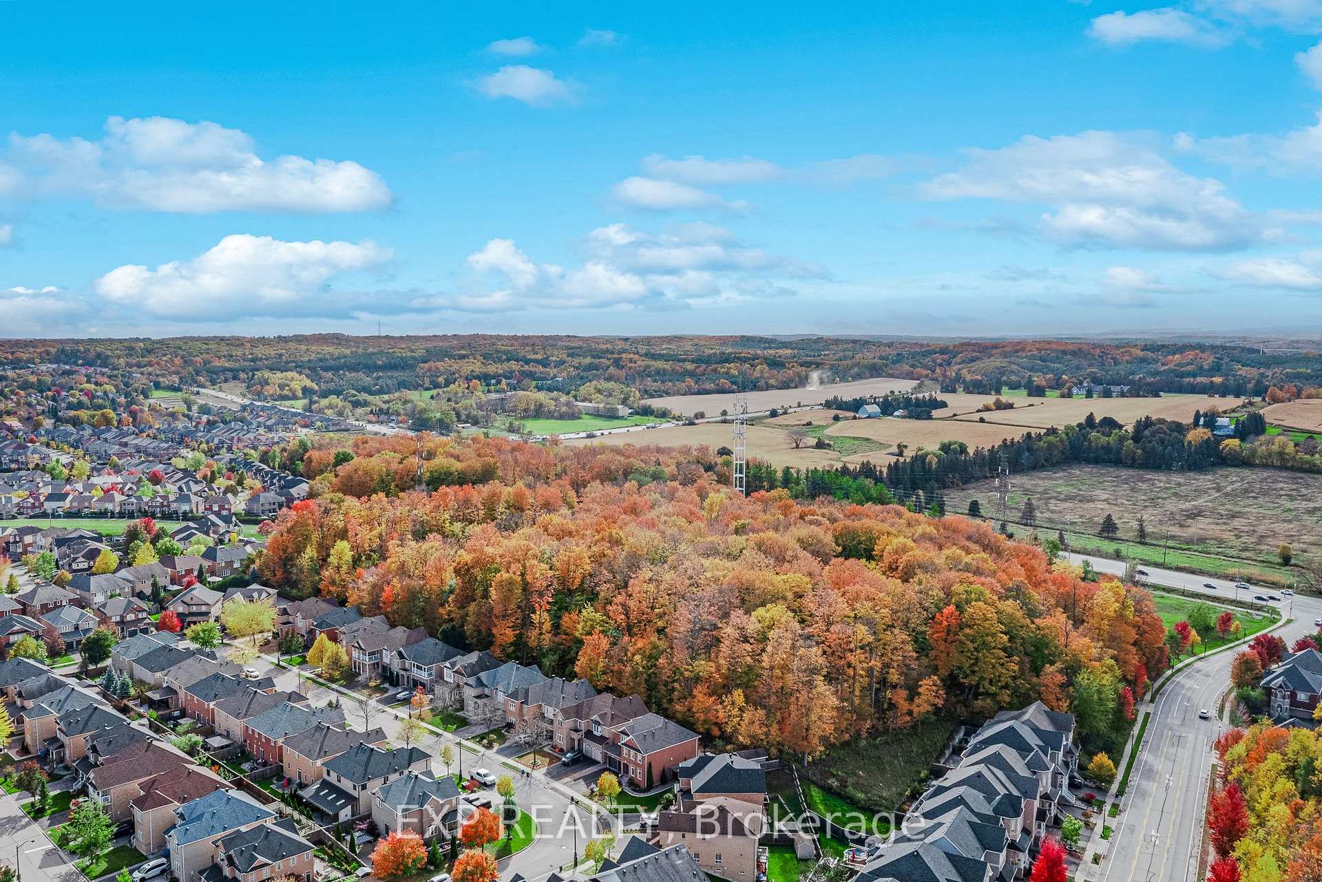 Photo 44 of 211 Ray Snow Boulevard, Newmarket, Woodland Hill — HOMEH