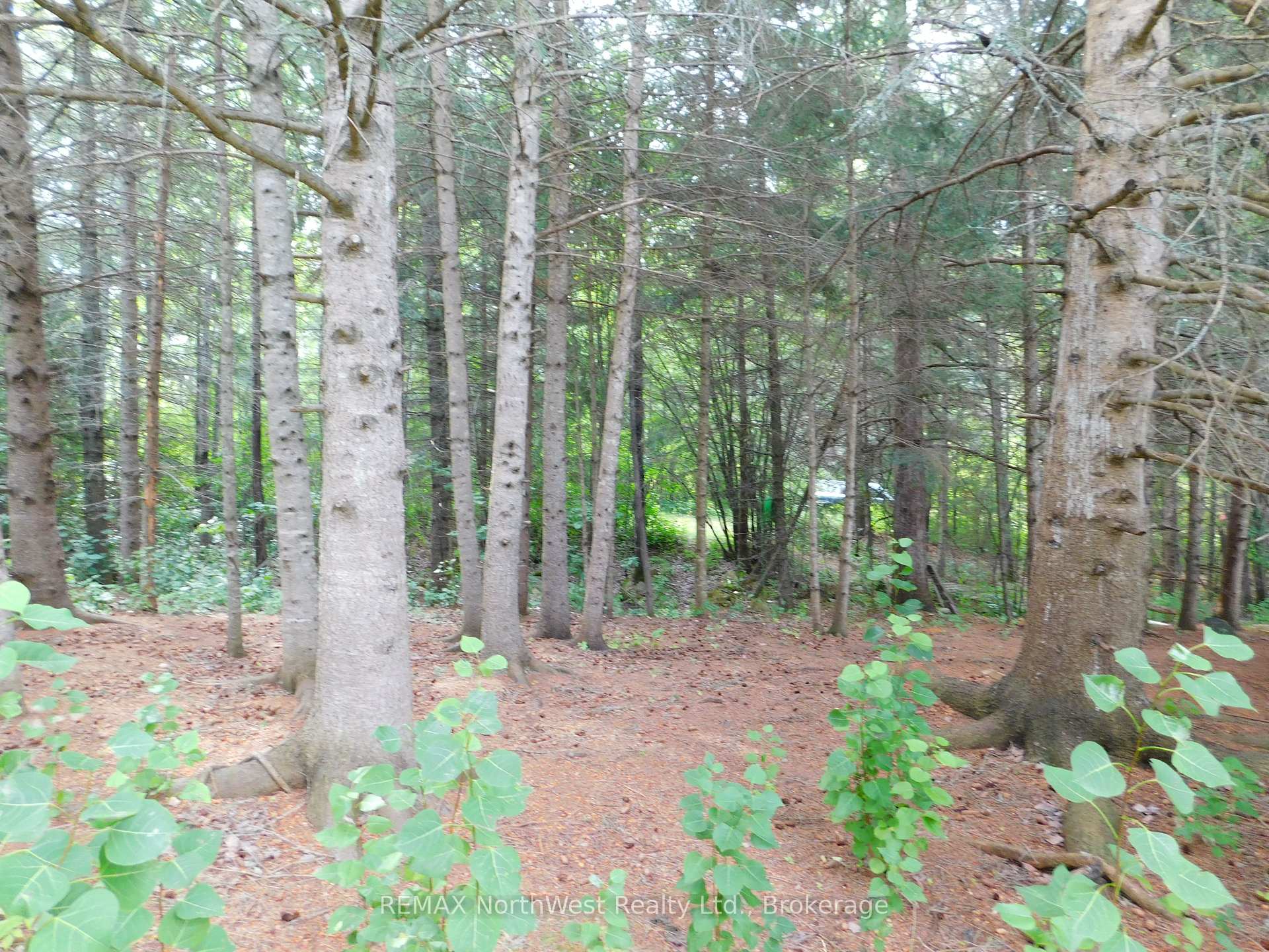 Photo 15 of 1373 609 Highway, Kenora Remote Area, Blue Lake — HOMEH