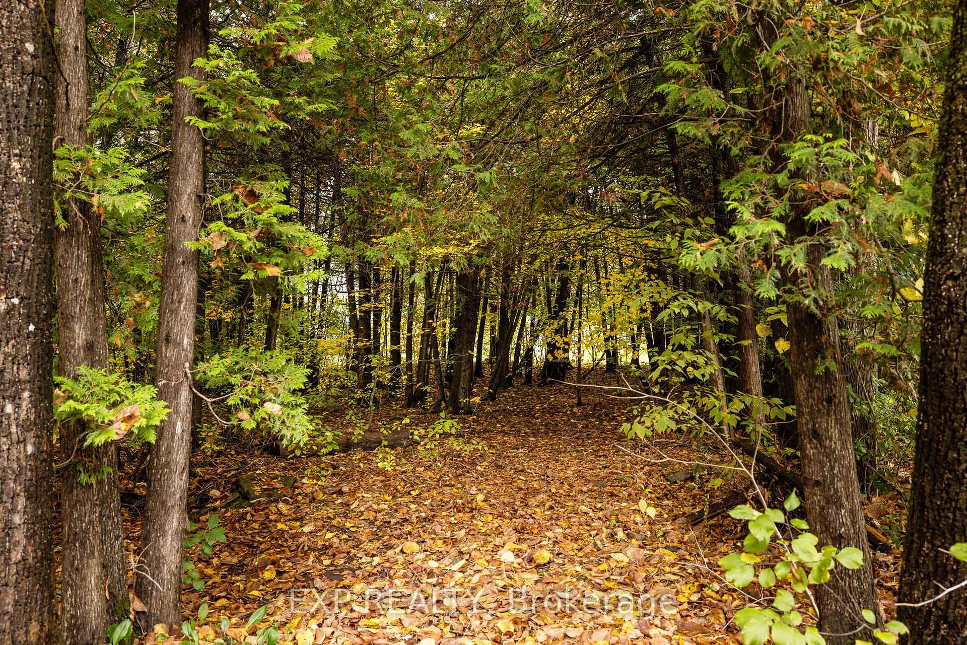 Photo 23 of 869 Rock Road, North Grenville, North Grenville Twp (Kemptville South) — HOMEH