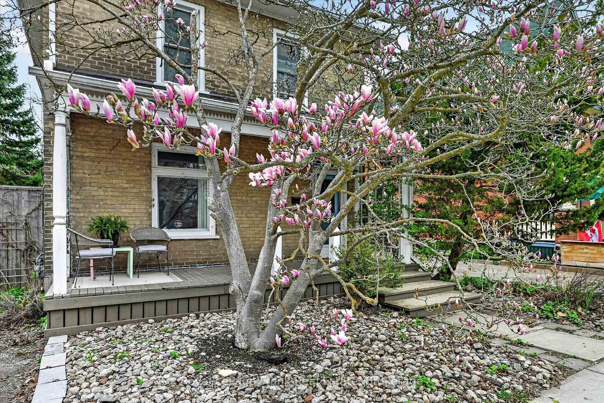 Photo 2 of 273 William Street, Peterborough, Town Ward 3 — HOMEH
