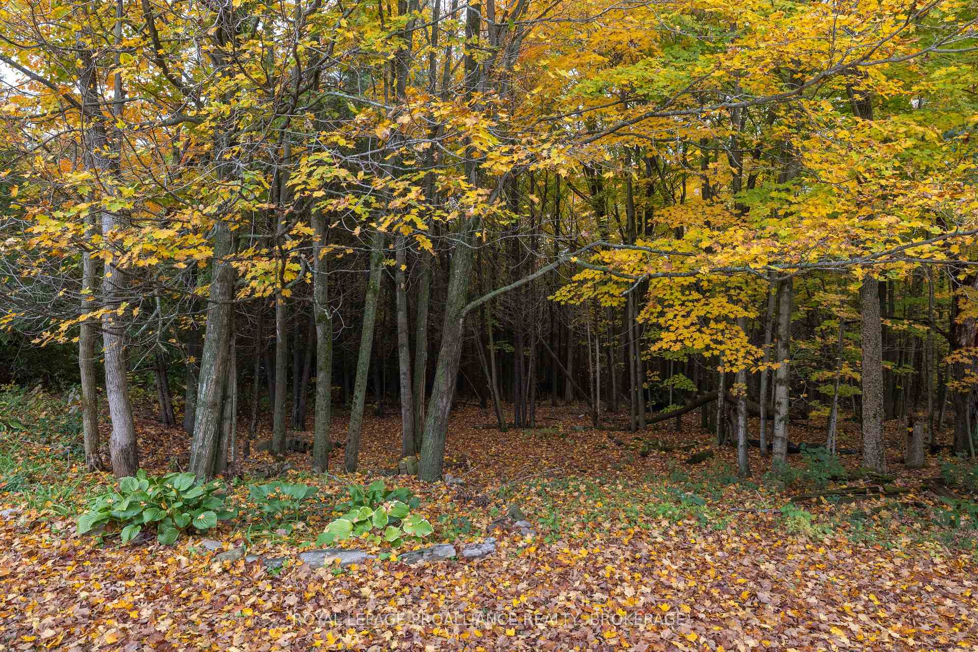 Photo 37 of 5403 Holmes Road, Frontenac, Frontenac South — HOMEH