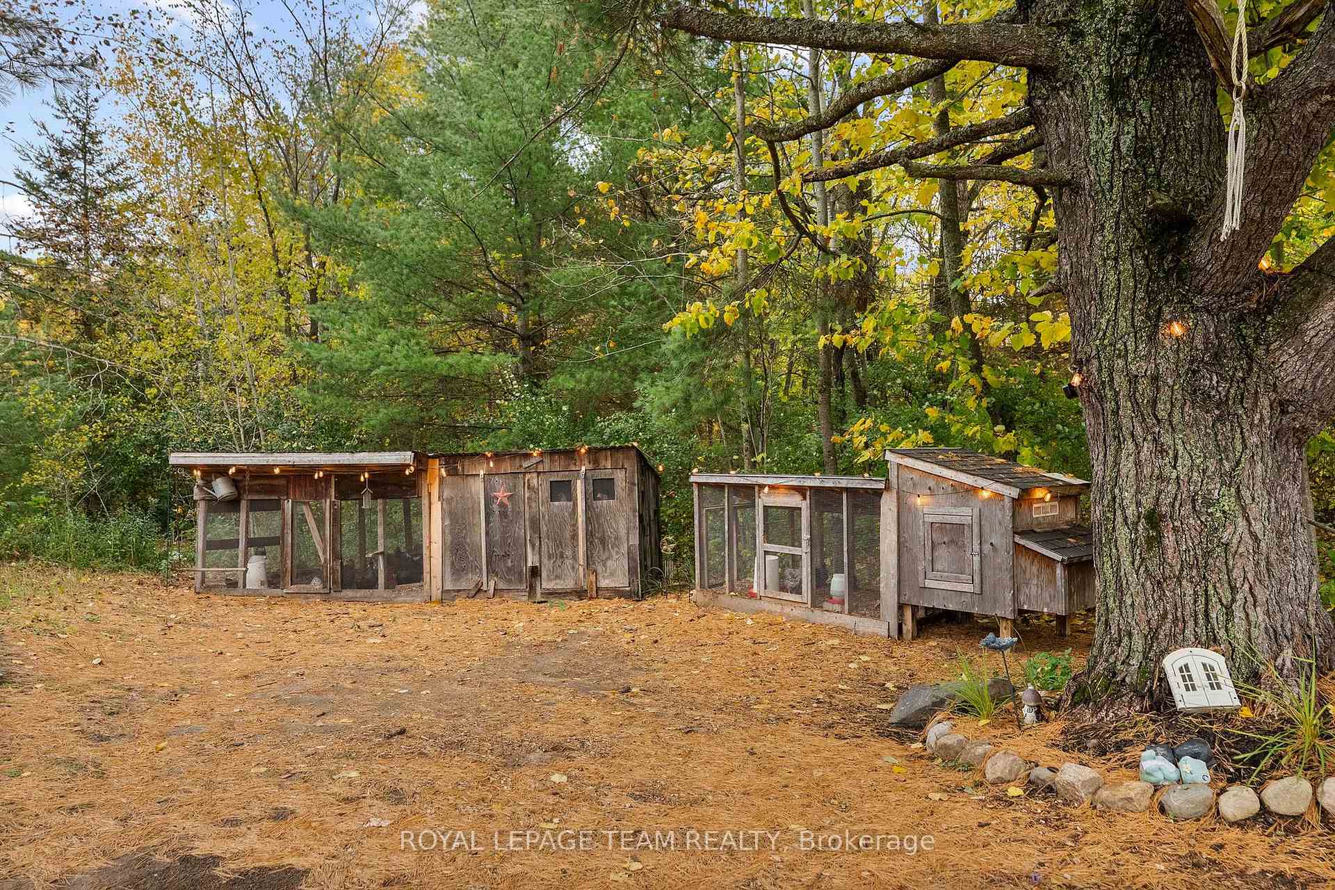 Photo 34 of 2380 Johnston Road, Horton, Horton Twp — HOMEH