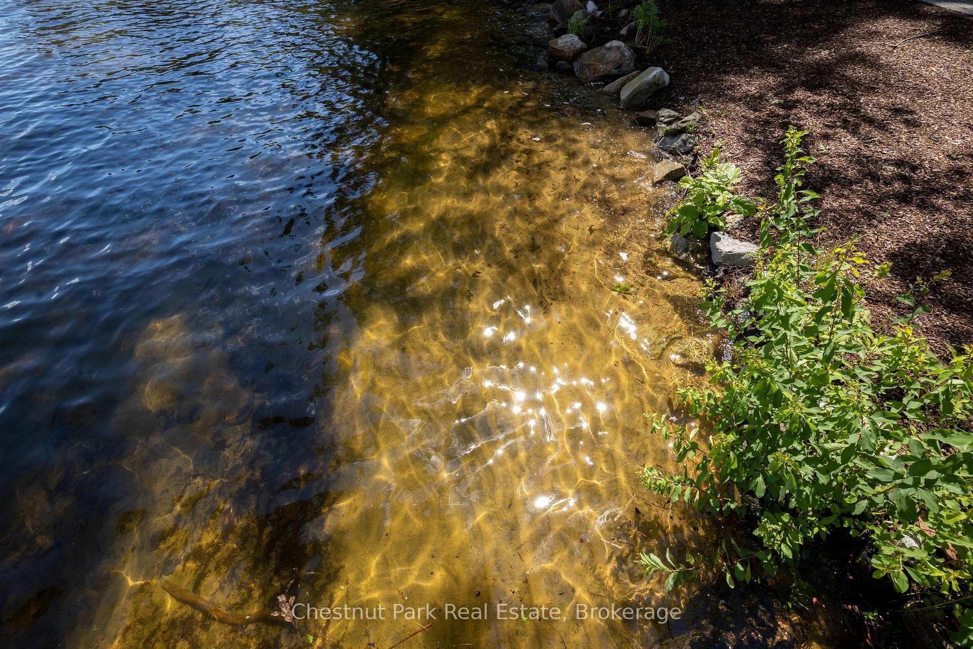 Photo 26 of 76 Birch Island, Bracebridge, Monck (Bracebridge) — HOMEH