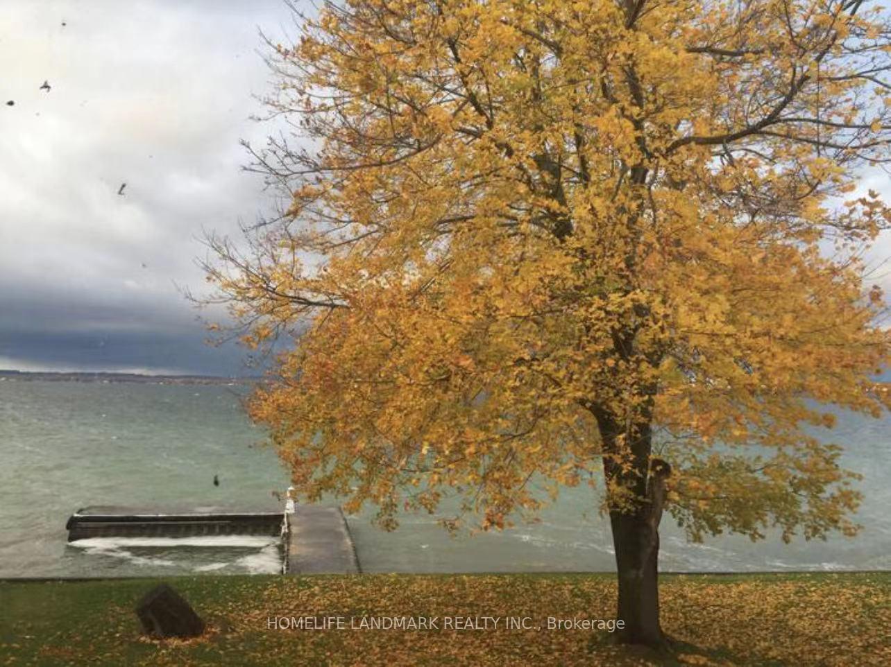 Photo 65 of 100 Lake Drive N, Georgina, Historic Lakeshore Communities — HOMEH