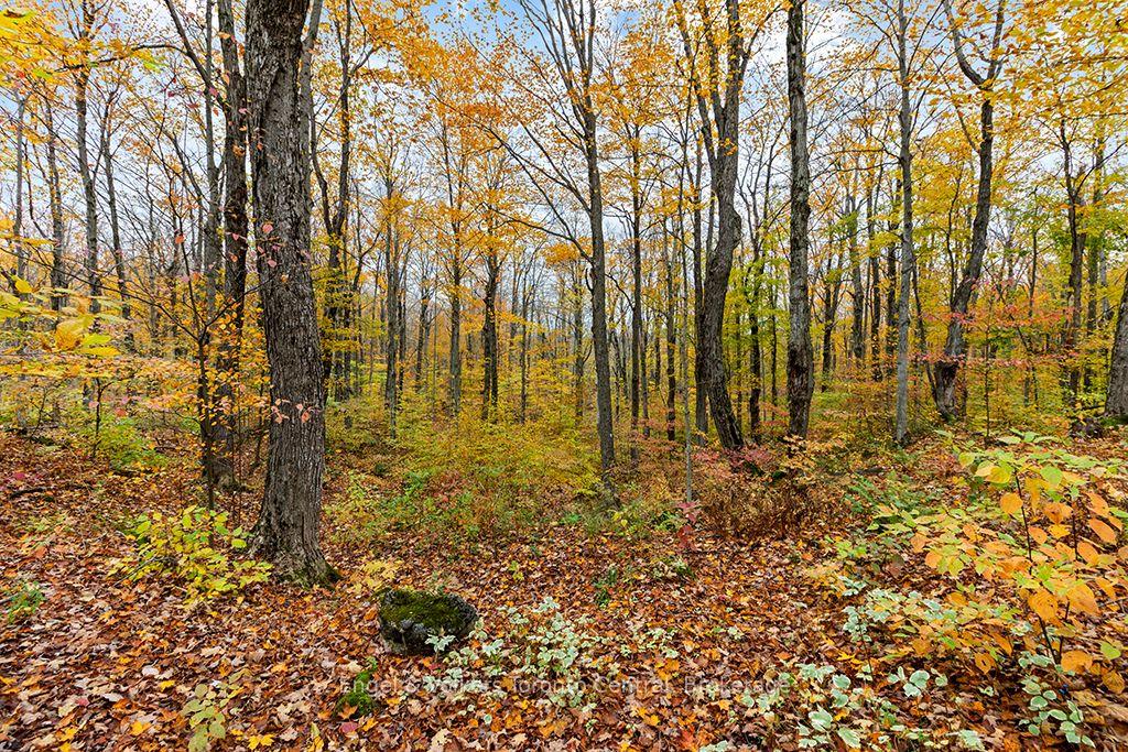 Photo 42 of 569263 Sideroad 6 Road, Blue Mountains — HOMEH