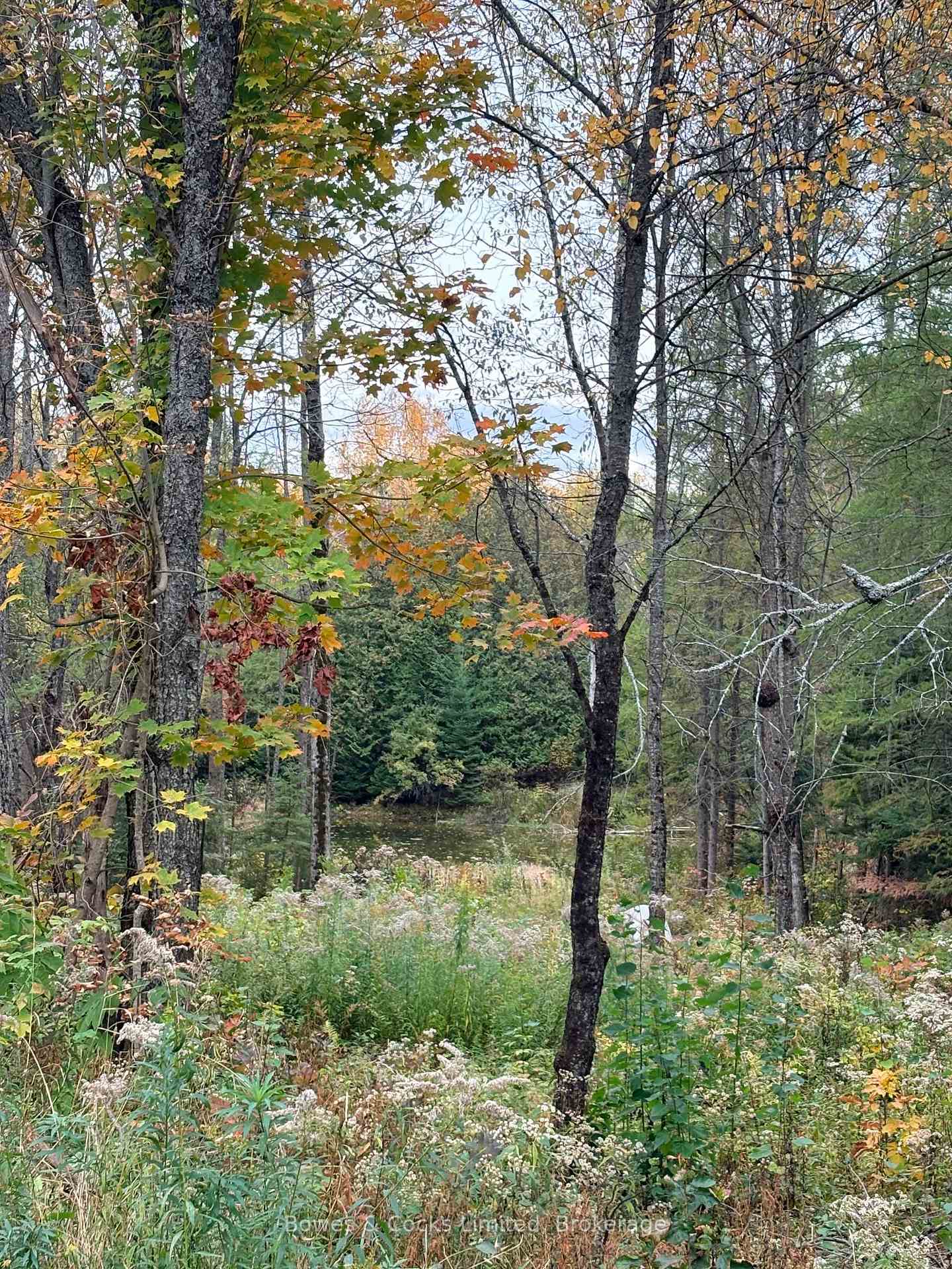 Photo 6 of 1350 Madill Road, Highlands East, Monmouth — HOMEH