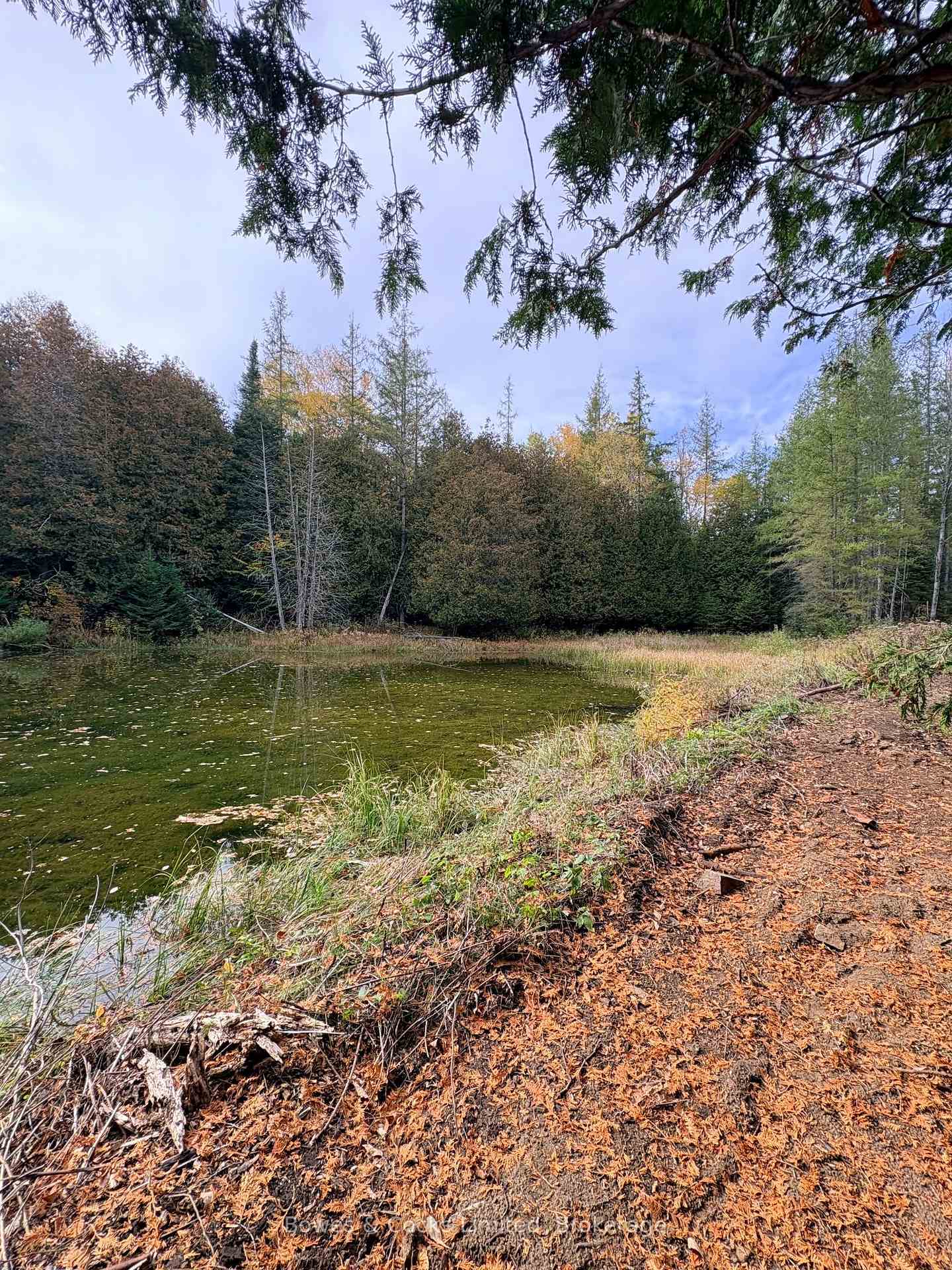 Photo 22 of 1350 Madill Road, Highlands East, Monmouth — HOMEH