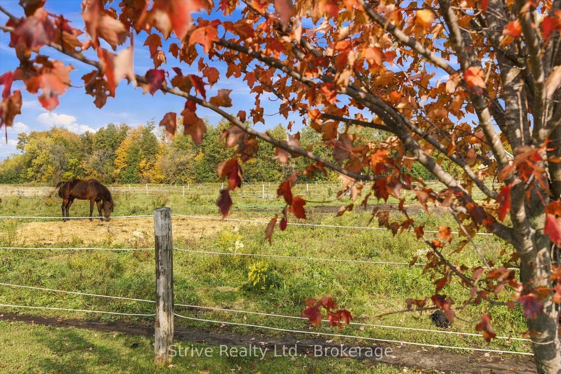Photo 38 of 239 Fallis Line, Cavan Monaghan, Cavan Twp — HOMEH