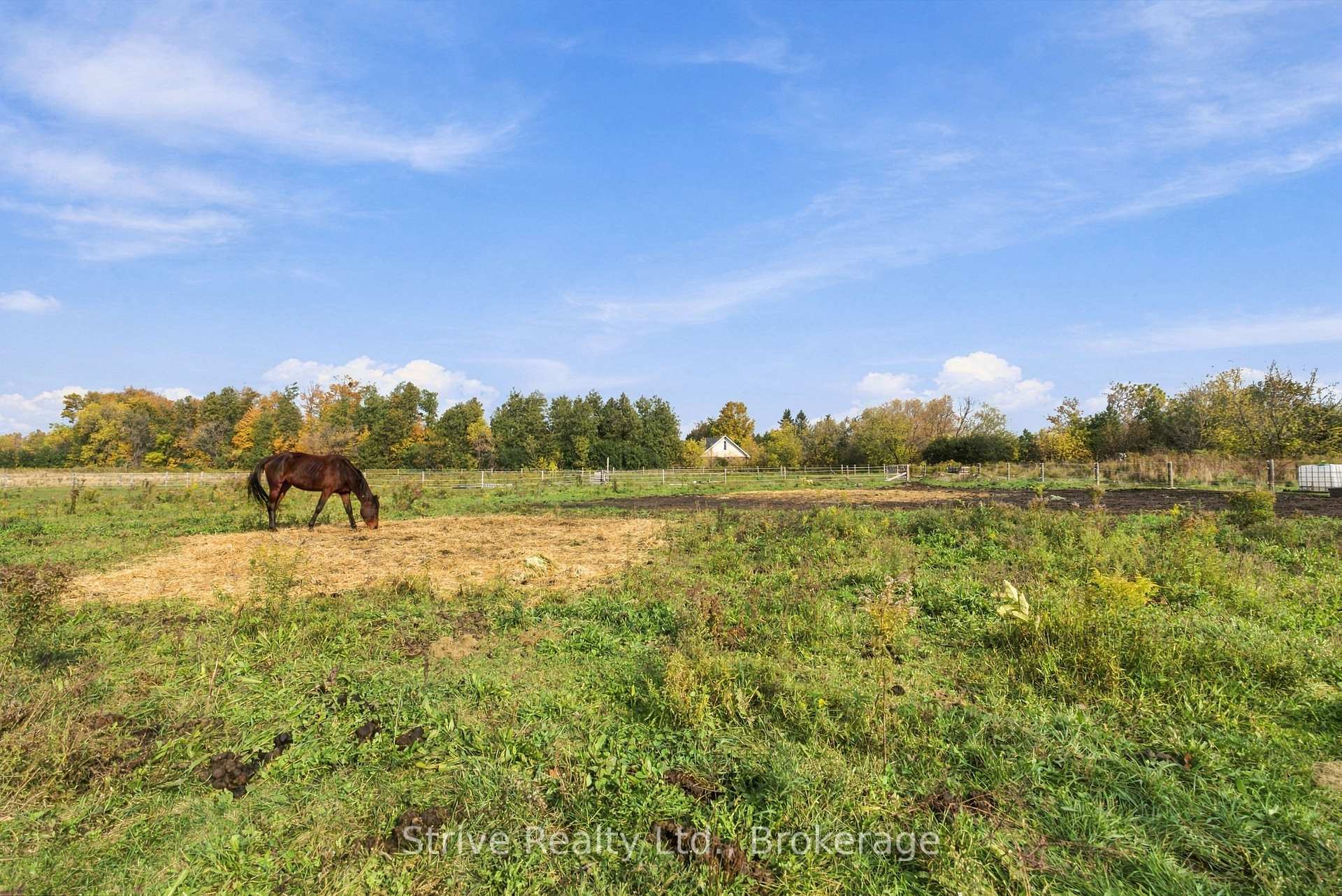 Photo 41 of 239 Fallis Line, Cavan Monaghan, Cavan Twp — HOMEH