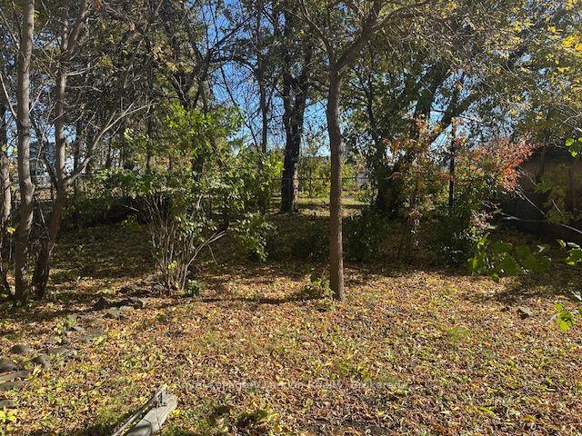 Photo 7 of 41 Machar Avenue, Thunder Bay, Court / Cumberland — HOMEH