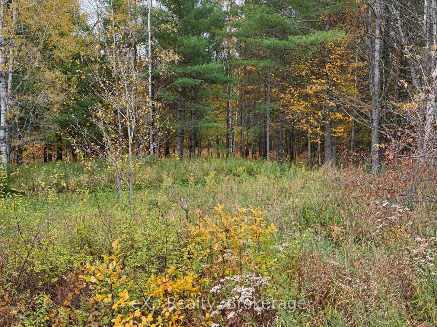 Photo 2 of 1003 Silver Lake Road, Gravenhurst, Muskoka (S) — HOMEH