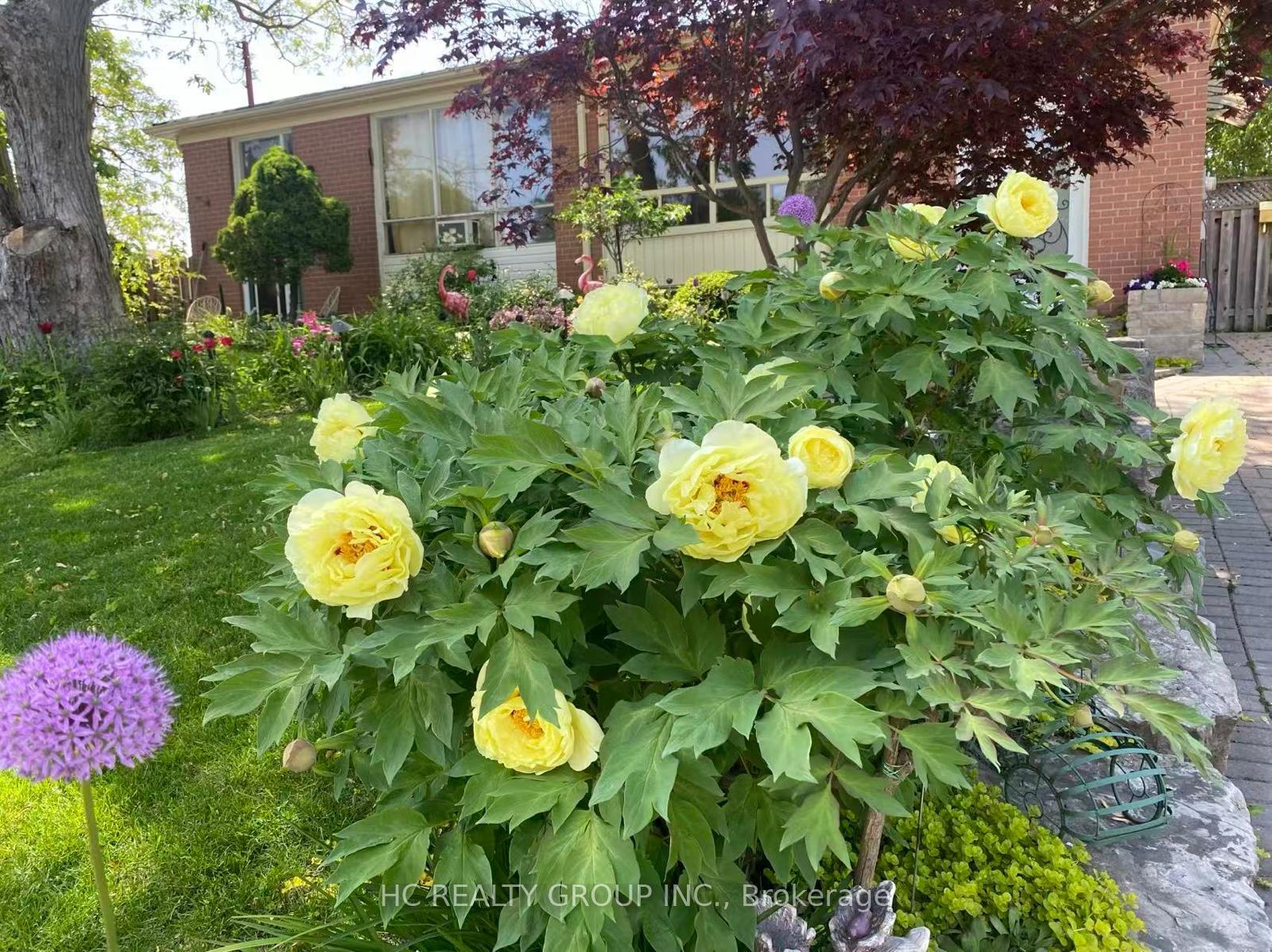 Photo 2 of 274 Browndale Crescent, Richmond Hill, Crosby — HOMEH