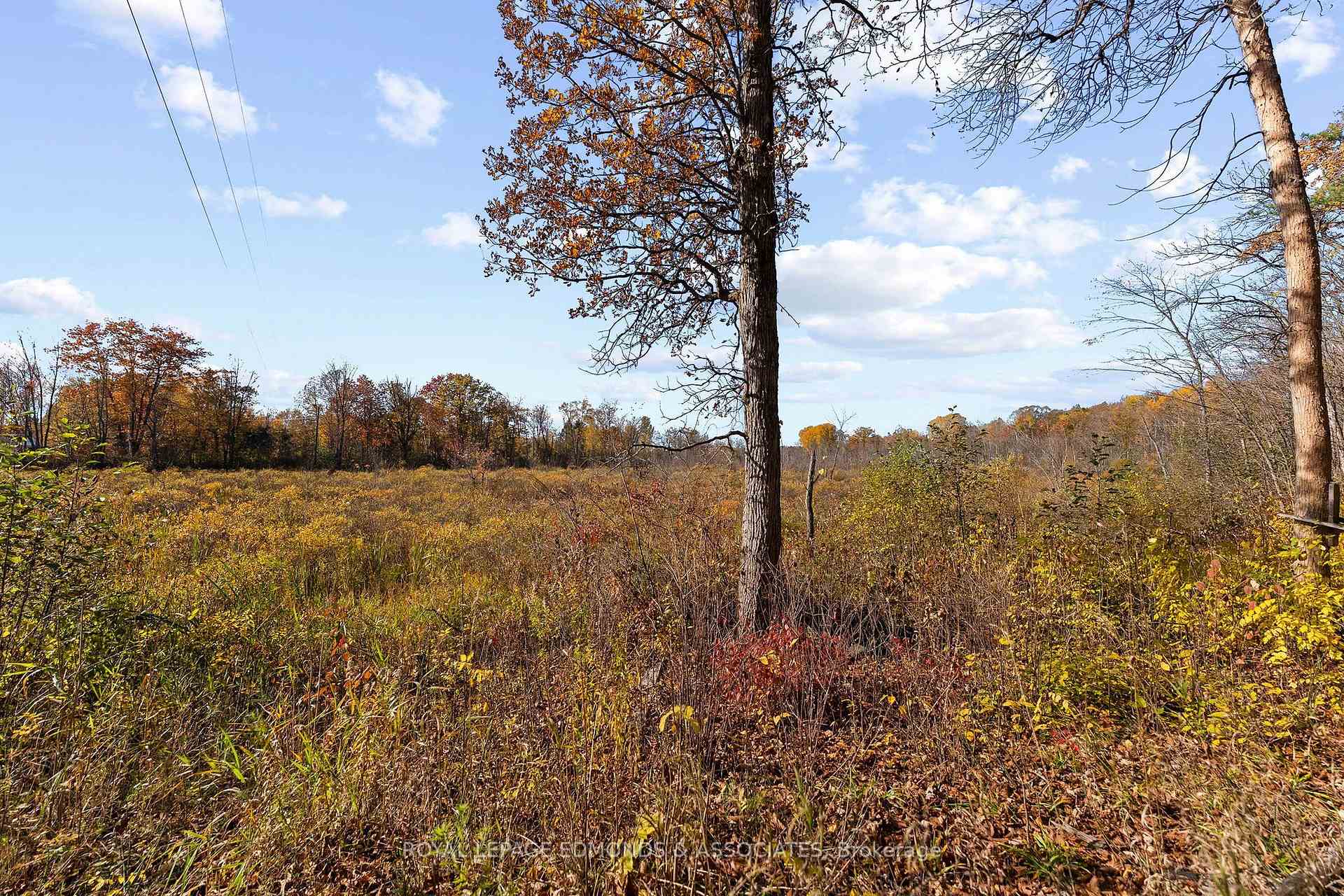 Photo 40 of 72 Hilltop Drive, Whitewater Region, Whitewater Region — HOMEH