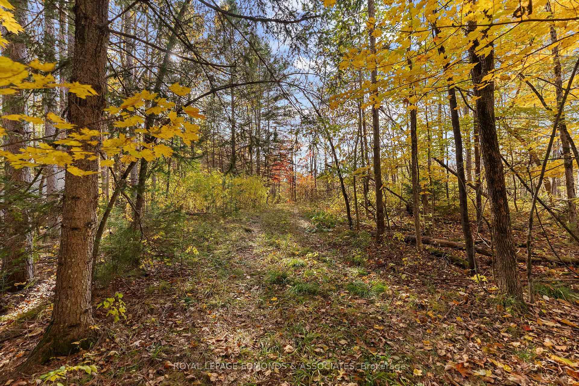 Photo 42 of 72 Hilltop Drive, Whitewater Region, Whitewater Region — HOMEH