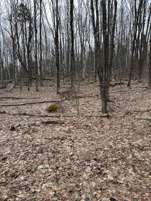 Photo 1 of Providence Drive, Algonquin Highlands, Stanhope — HOMEH