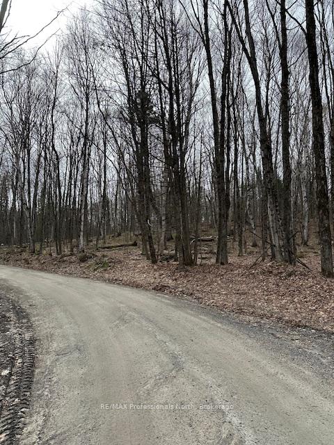 Photo 2 of Providence Drive, Algonquin Highlands, Stanhope — HOMEH