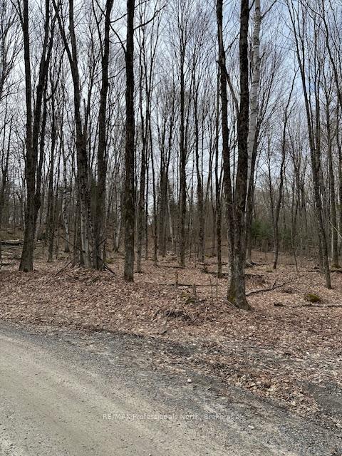 Photo 3 of Providence Drive, Algonquin Highlands, Stanhope — HOMEH