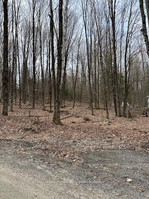 Photo 4 of Providence Drive, Algonquin Highlands, Stanhope — HOMEH