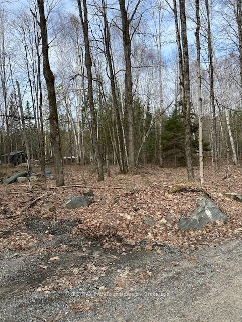 Photo 5 of Providence Drive, Algonquin Highlands, Stanhope — HOMEH