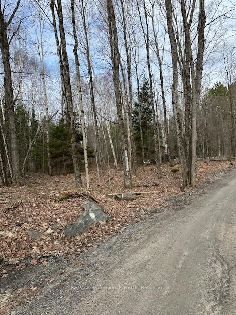 Photo 6 of Providence Drive, Algonquin Highlands, Stanhope — HOMEH