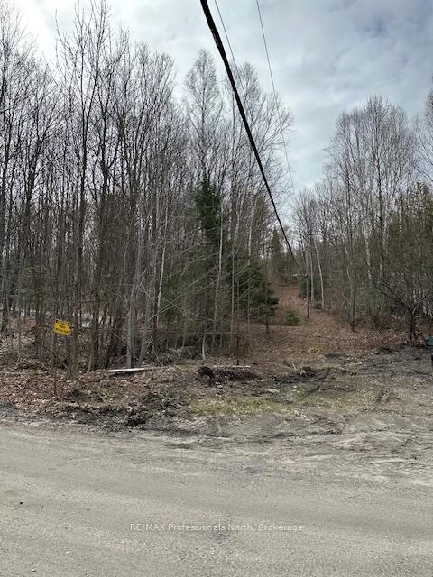 Photo 7 of Providence Drive, Algonquin Highlands, Stanhope — HOMEH
