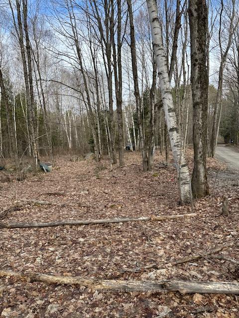 Photo 9 of Providence Drive, Algonquin Highlands, Stanhope — HOMEH