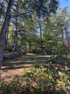 Photo 13 of 1141 Turtle Lake Road, Gravenhurst, Muskoka (S) — HOMEH