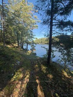 Photo 14 of 1141 Turtle Lake Road, Gravenhurst, Muskoka (S) — HOMEH