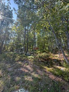 Photo 16 of 1141 Turtle Lake Road, Gravenhurst, Muskoka (S) — HOMEH