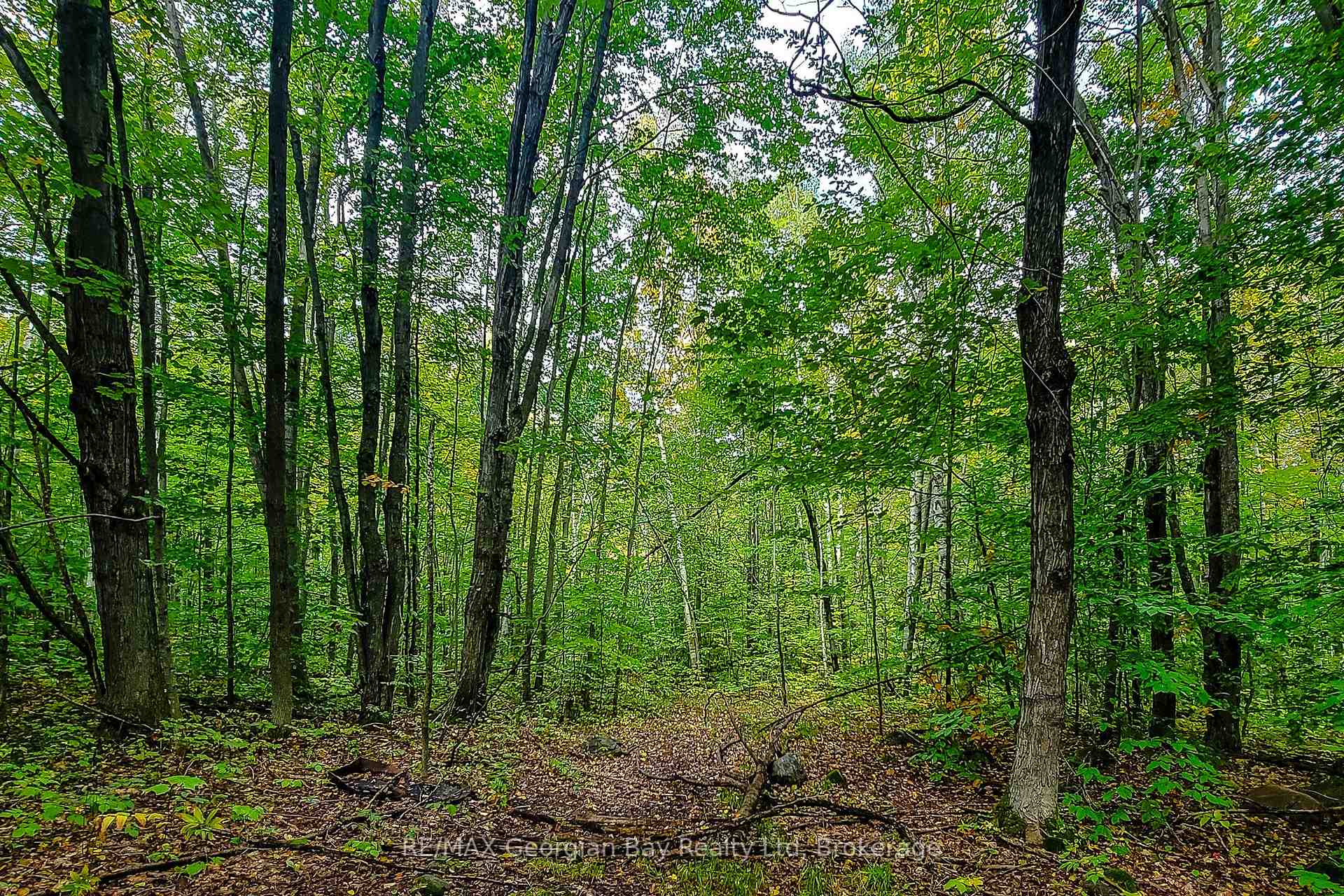 Photo 5 of Lot 18 Conc 19 Road W, Tiny, Rural Tiny — HOMEH