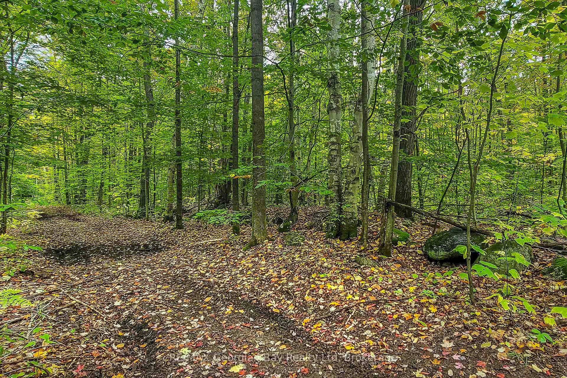 Photo 6 of Lot 18 Conc 19 Road W, Tiny, Rural Tiny — HOMEH