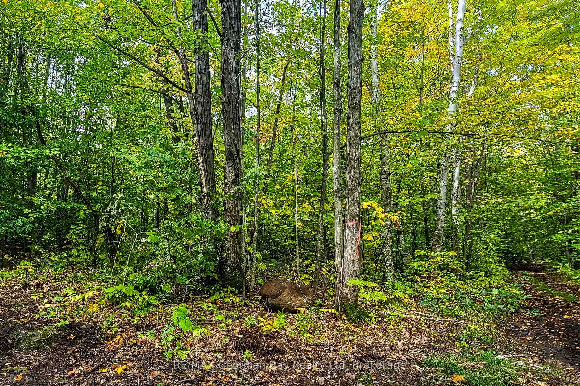 Photo 3 of Lot 18 Conc 19 Road W, Tiny, Rural Tiny — HOMEH