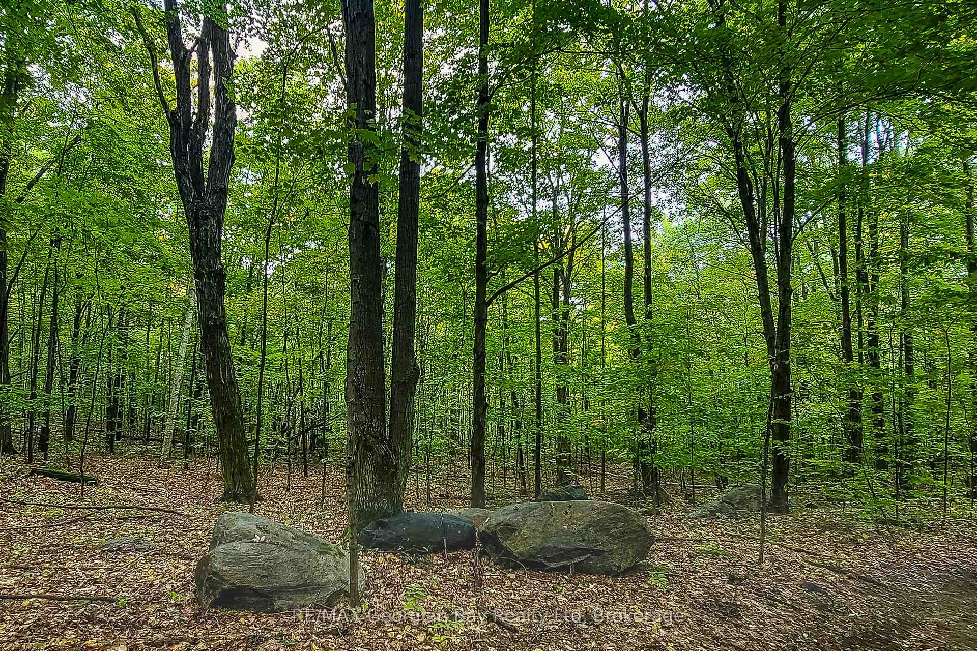 Photo 7 of Lot 18 Conc 19 Road W, Tiny, Rural Tiny — HOMEH