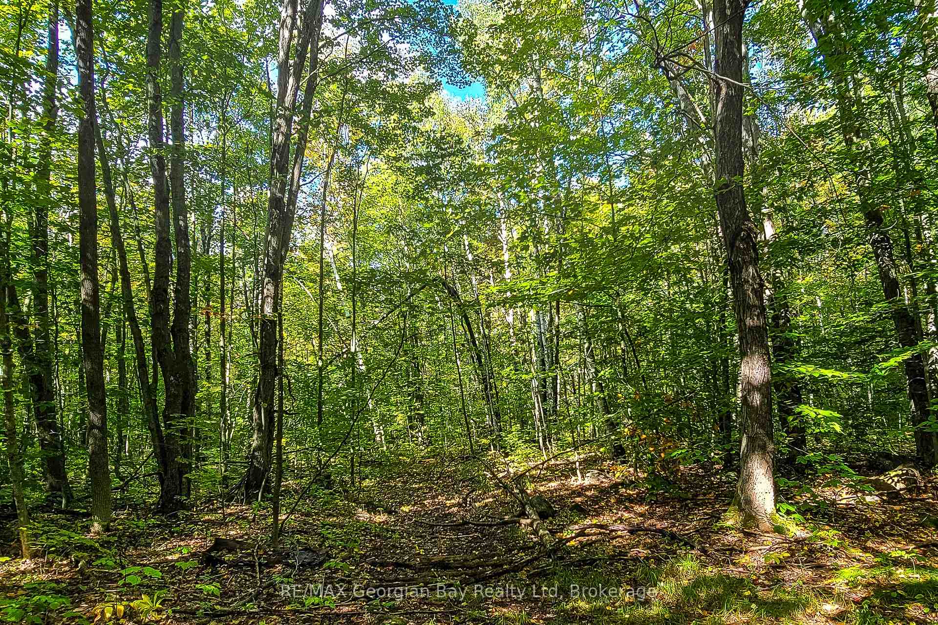 Photo 9 of Lot 18 Conc 19 Road W, Tiny, Rural Tiny — HOMEH