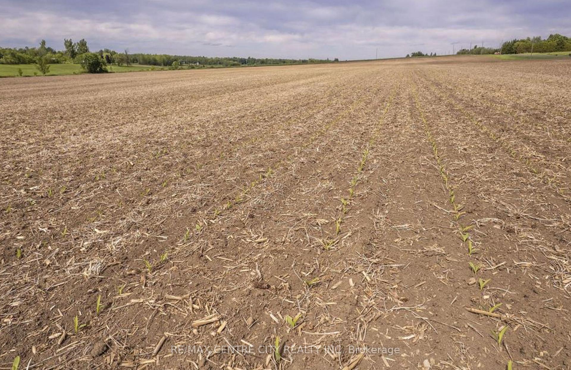 Photo 5 of 19267 County 25 Road, South Glengarry, South Glengarry (Charlottenburgh) Twp — HOMEH