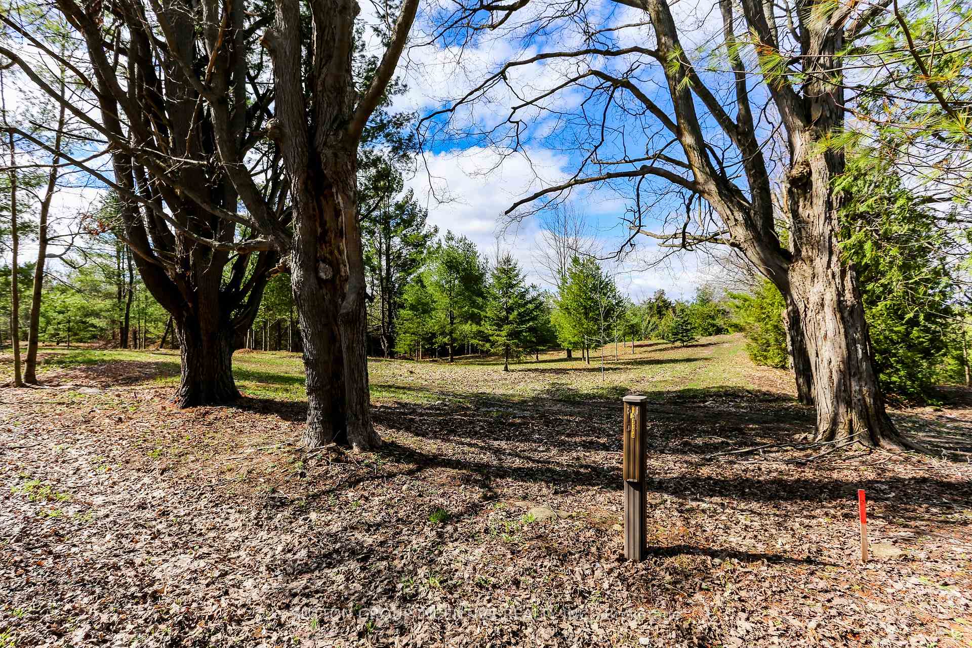 Photo 7 of 2790 Old Second Road S, Springwater, Midhurst — HOMEH