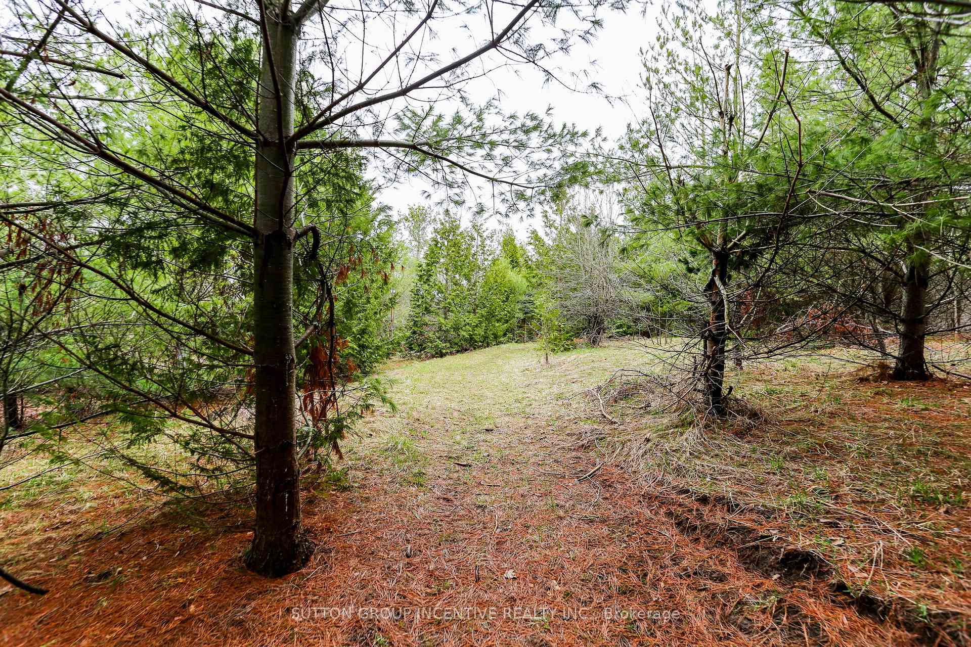Photo 19 of 2790 Old Second Road S, Springwater, Midhurst — HOMEH