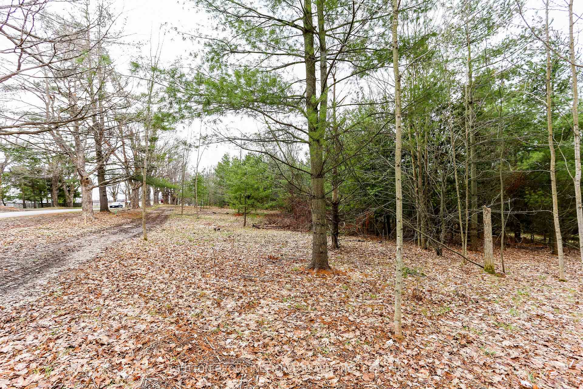 Photo 26 of 2790 Old Second Road S, Springwater, Midhurst — HOMEH