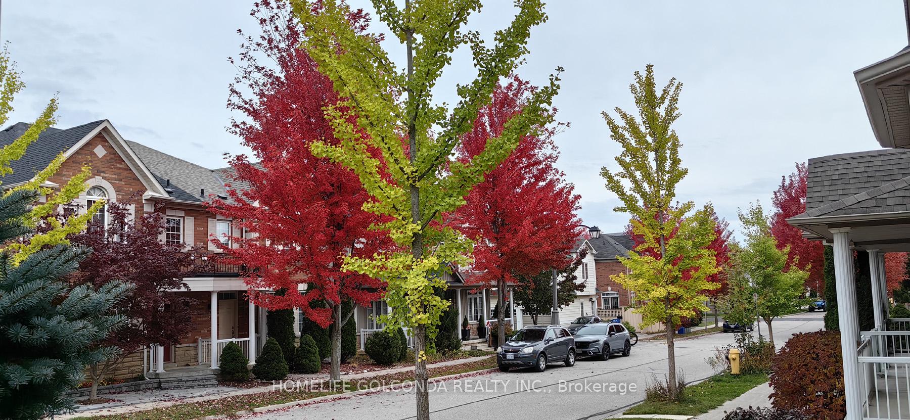Photo 31 of 32 Cardrew Street, Markham, Cornell — HOMEH
