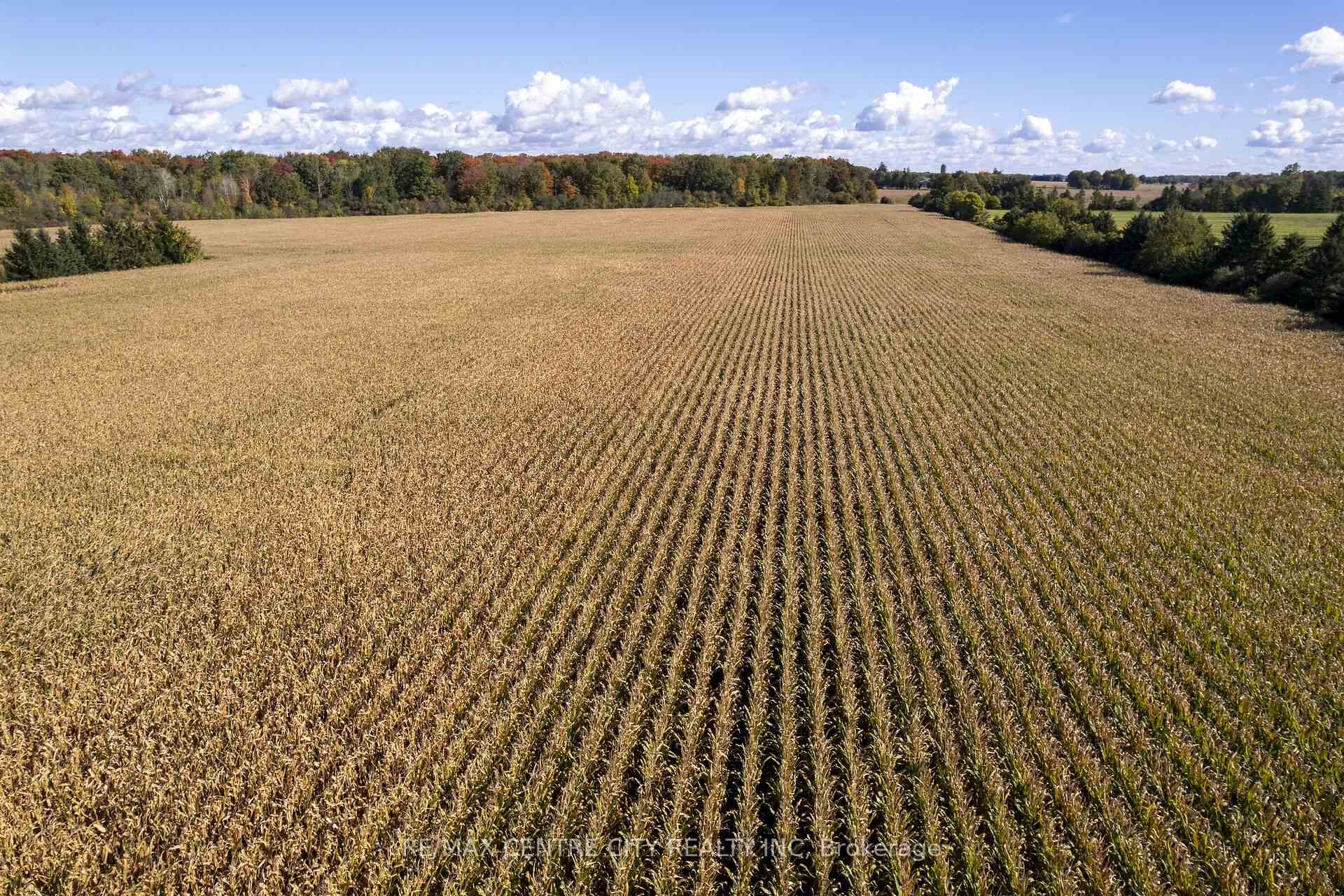 Photo 5 of 20952 Rebecca Road, Thames Centre, Thorndale — HOMEH